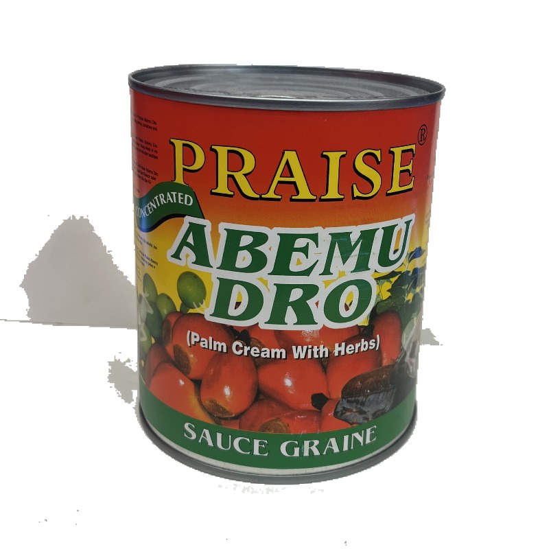 PRAISE ABEMU DRO