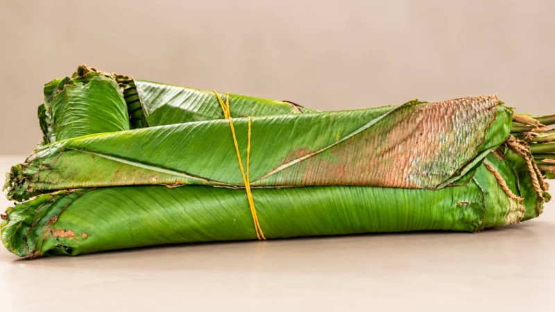 moimoi Leaves